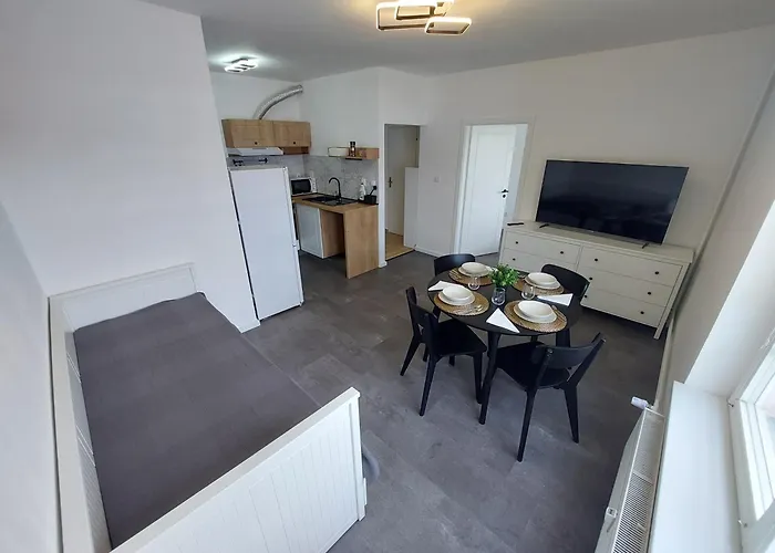Apartman Krasna Lipa Daire Krásná Lípa